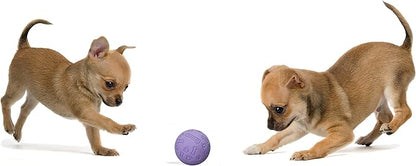 Snug Rubber Dog Balls for Small and Medium Dogs - Image 5