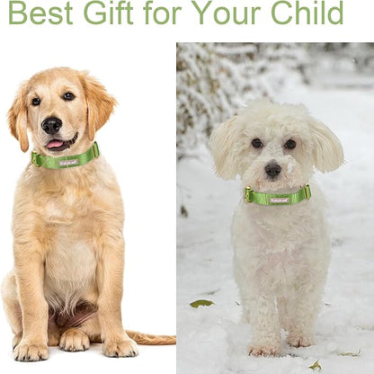 Nylon Dog Collar - Image 3