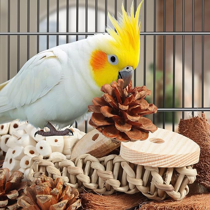Kyouki Bird Toys Parrot Natural Bird Foraging Box Foot Toys - Image 4