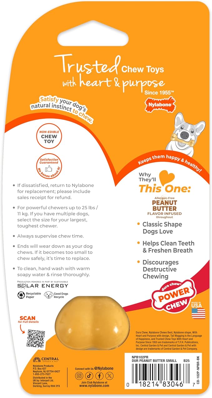 Nylabone Original Bone Power Chew Toy - Image 10