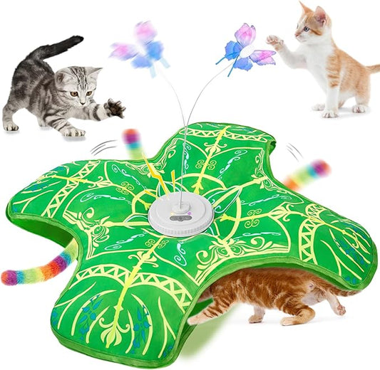Interactive Cat Toys for Indoor Cats, Rechargeable Touch Activated Hide and by Unknown
