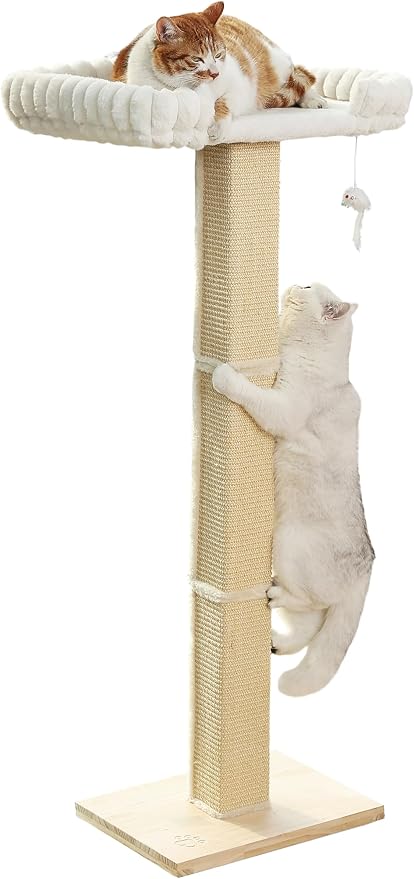 Cat Scratching Post with Large Window Perch by Caloreduce