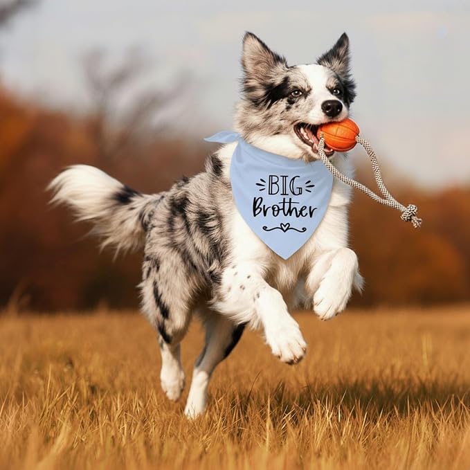 Big Brother Dog Bandanas, Pet Dog Triangle Scarf - Image 6