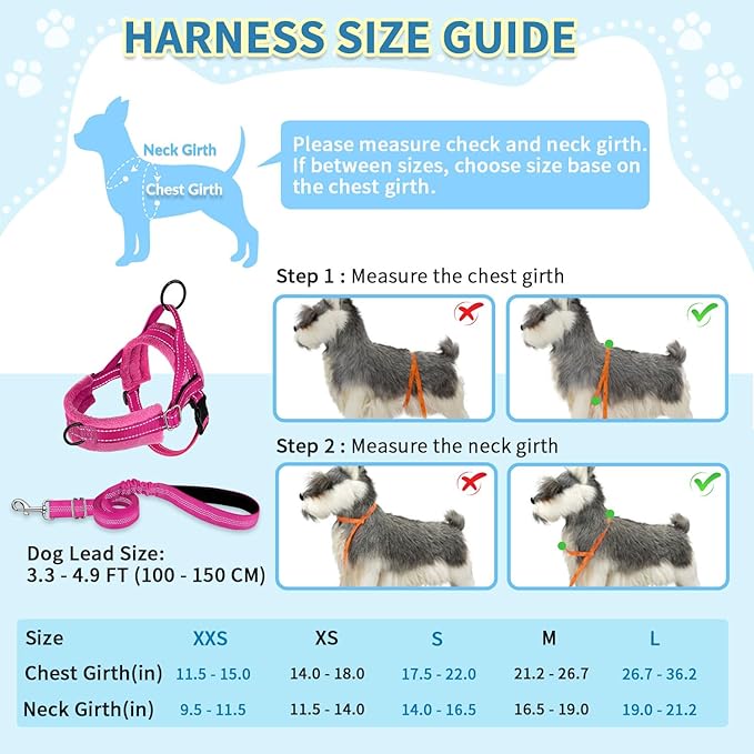 SlowTon No Pull Small Dog Harness and Leash Set, Puppy Soft Vest Harness Neck & - Image 5
