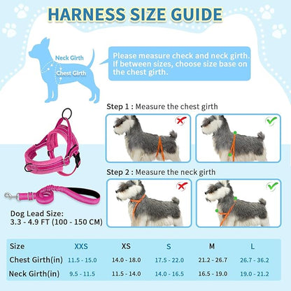 SlowTon No Pull Small Dog Harness and Leash Set, Puppy Soft Vest Harness Neck & - Image 5
