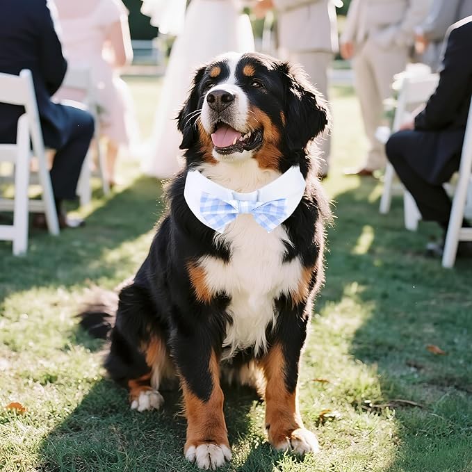 Segarty Dog Bow Tie for Neck Girth 16.5-21.2in, Adjustable Light Blue Plaid - Image 5