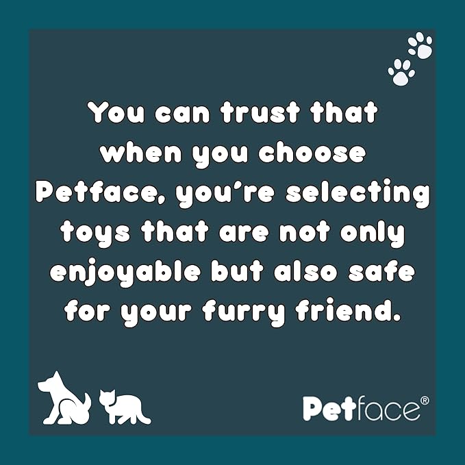 Petface Seriously Strong Rubber Teething Dog Chew - Image 5