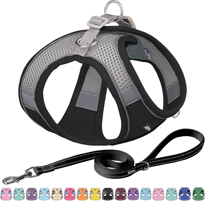 AIITLE Comfortable Dog Harness and Leash Set by AIITLE-FORPETSBETTERLIFE