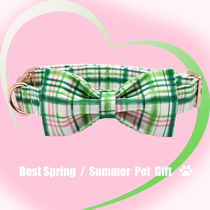 Elegant Little Tail Dog Collar - Image 4