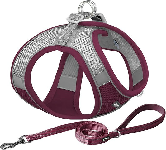 AIITLE No Pull Dog Harness and Leash Set, Christmas Step in Adjustable Dog by AIITLE-FORPETSBETTERLIFE