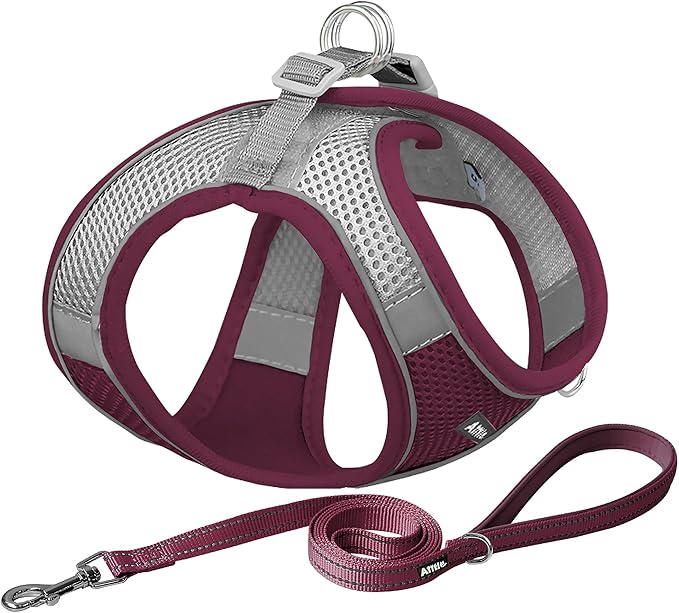 AIITLE Dog Harness, Christmas No-Pull Cat Harness by AIITLE-FORPETSBETTERLIFE