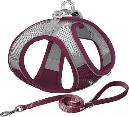 AIITLE Easy Walk Dog Harness and Leash Set by AIITLE-FORPETSBETTERLIFE