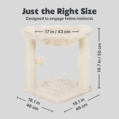 TRIXIE Baza XXL Cat Scratching Posts, Indoor Cat Furniture - Image 3