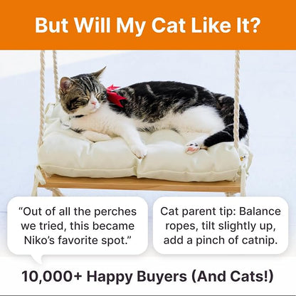 Cat Window Perch with Industrial-Grade Suction Cups - Image 8