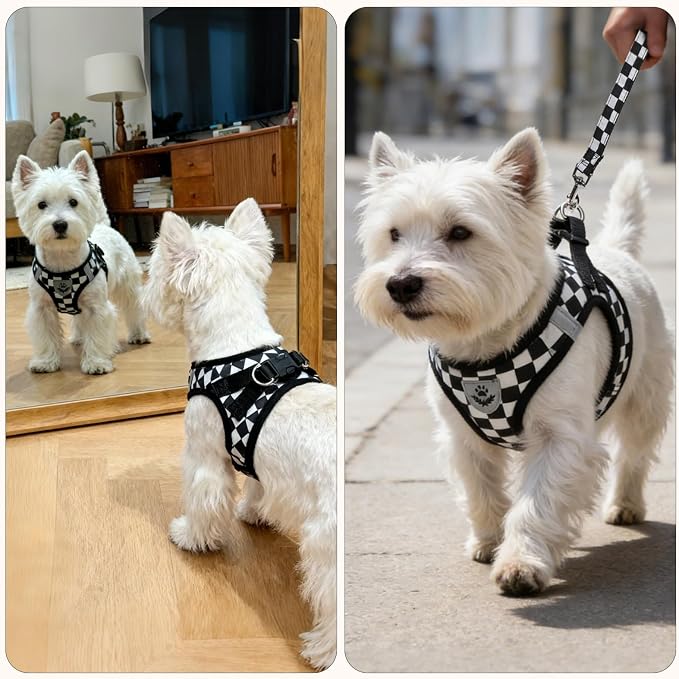 PUPTECK Adjustable Dog Harness Collar and Leash Set Step in No Pull Pet Harness - Image 8