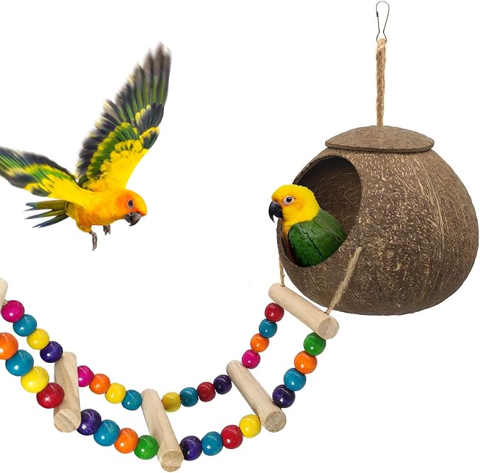 Hanging Coconut Birds House by HOME