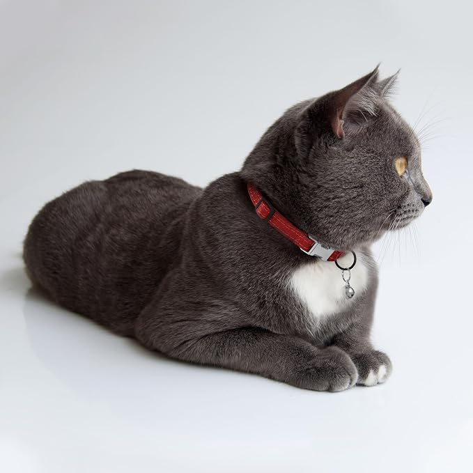 Leather Cat Collar with Buckle and Removable Bell - Image 6