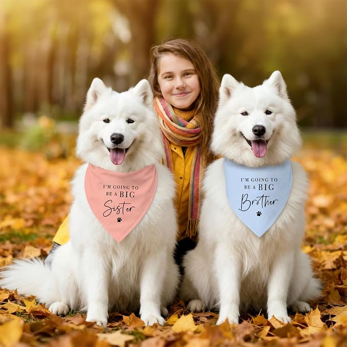 2 Pack Dog Bandanas for Pregnancy Announcement, I'm Going to Be A Big Brother - Image 5