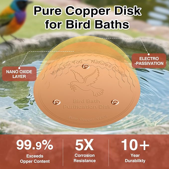 Bird Bath Copper Disc- Reinforced 99.99% Pure Copper Bird Bath Purification - Image 4
