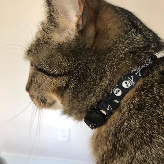 PUPTECK Breakaway Cat Collar - Image 2