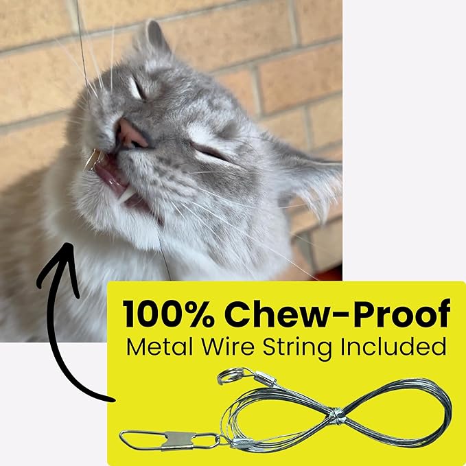 Forever Stick with Chew-Proof Metal Wire String and Transparent Fishing Line - Image 6