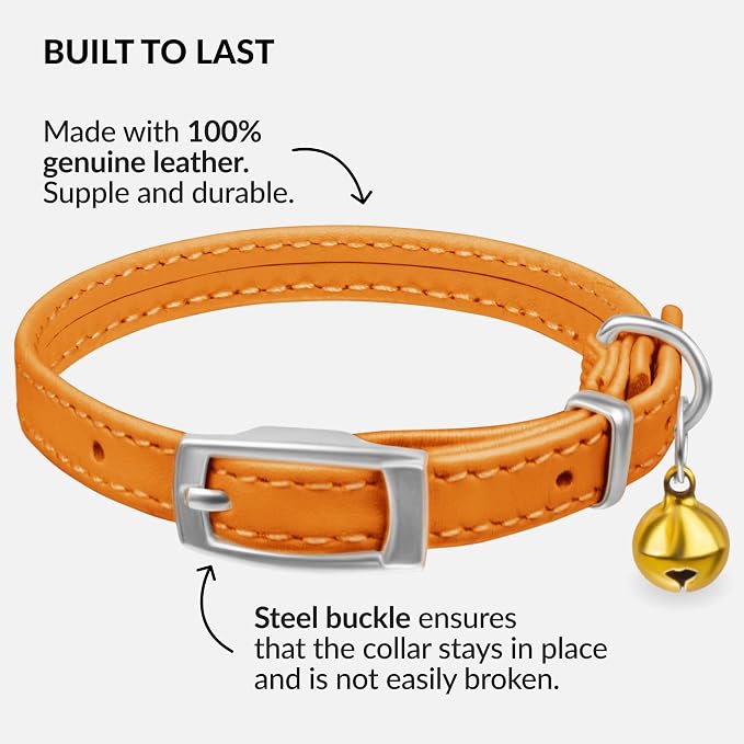 CollarDirect Leather Cat Collar - Image 3