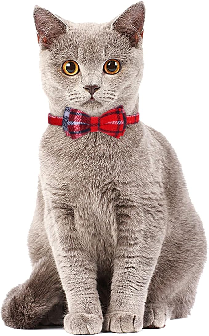 Faleela 2 Pack/Set Cat Collar - Image 4