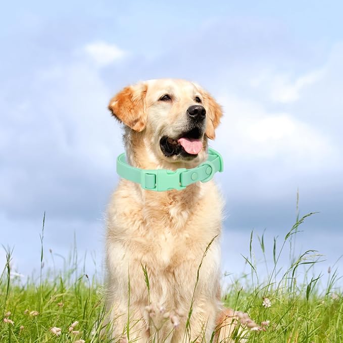 Waterproof Dog Collar Soft Rubber Dog Collar - Image 2