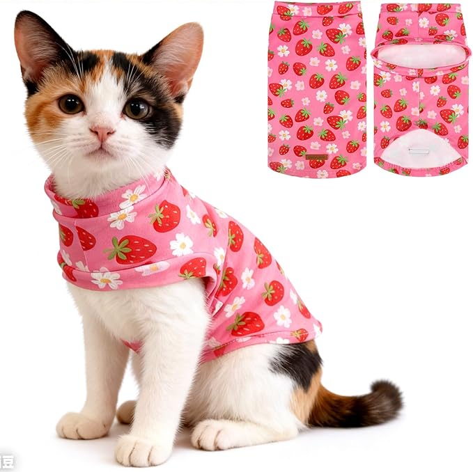 EXPAWLORER Soft Cat Sweater by EXPAWLORER