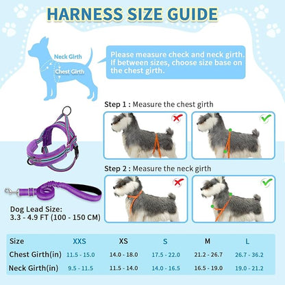 SlowTon No Pull Small Dog Harness and Leash Set, Puppy Soft Vest Harness Neck & - Image 5