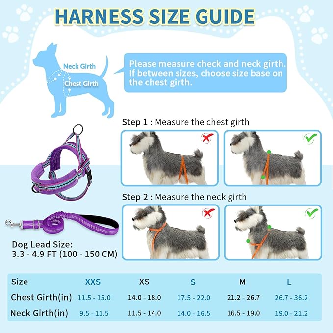 SlowTon No Pull Small Dog Harness and Leash Set, Puppy Soft Vest Harness Neck & - Image 5