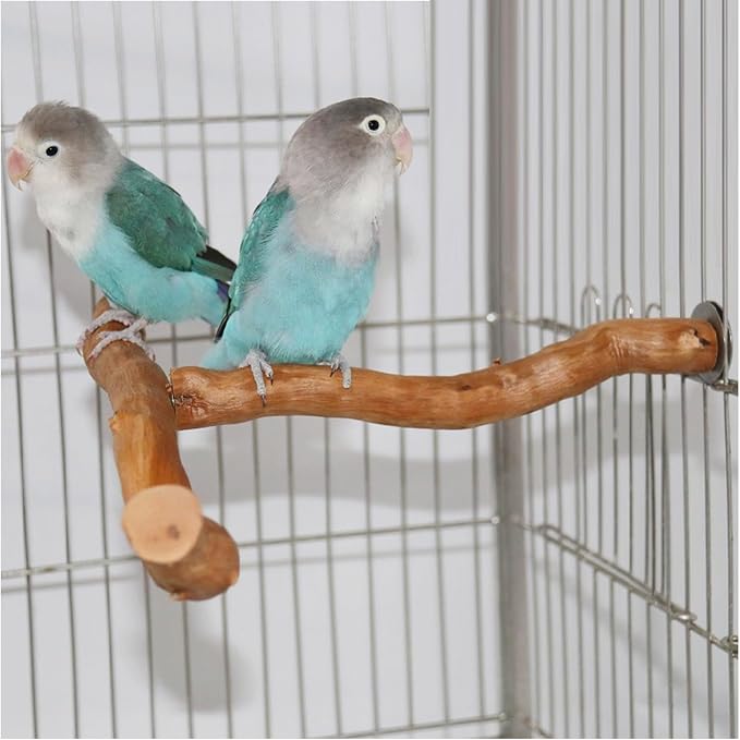 Asixxsix Wood Bird Perch, T Shaped Birdcage Stand Wooden Parrot Perch Stand - Image 3