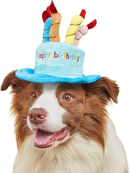 Cute Pet Party Hat for Dogs&Cats by FANBODTA