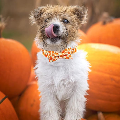 Dog Collar - Halloween Pumpkin Bowtie Dog Collars Gift Soft Bow Collar Pet - Image 6