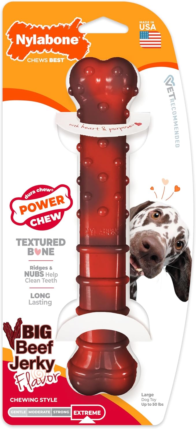 Nylabone Textured Bone Power Chew Toy - Image 9