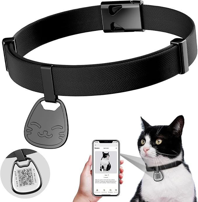 Cat Collar with QR Code Name Tag, Breakaway Kitten Collar by typecase