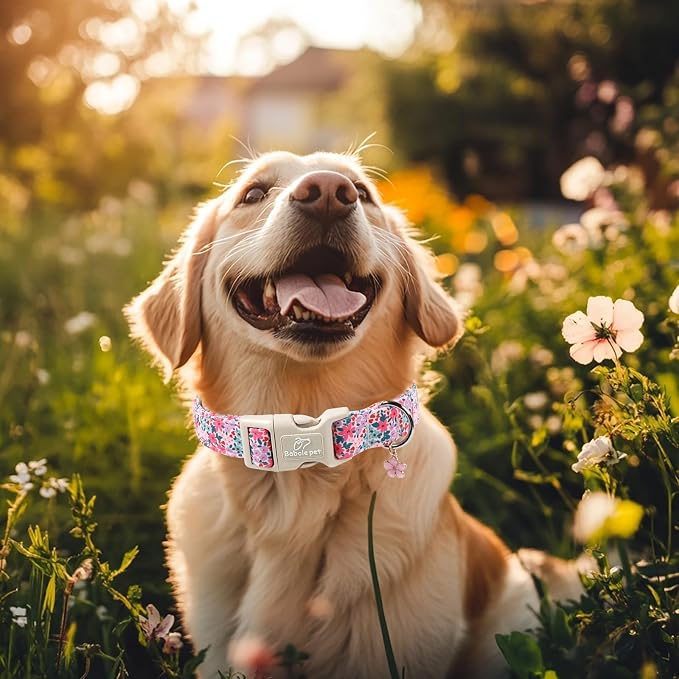Floral Dog Collar, Cute Girl Dog Collars - Image 5