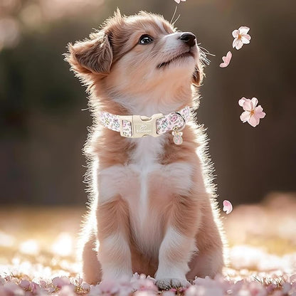 Easter Dog Collar for Puppy Small Dogs - Image 7