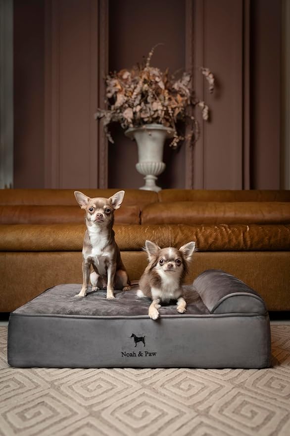 NOAH & PAW Dog Bed, Orthopedic Dog Beds - Image 2
