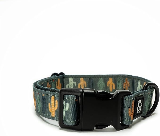 Lucy & Co. Looking Sharp Dog Collar by LucyCo