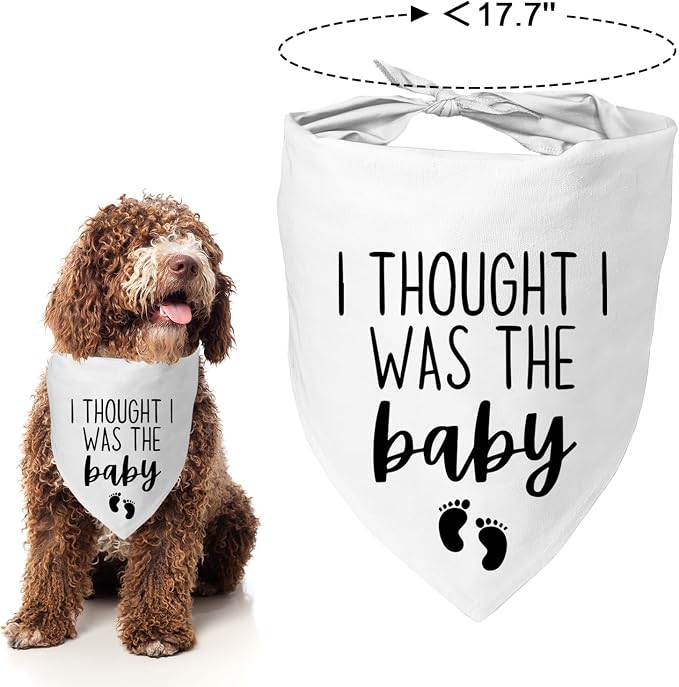 Dog Pregnancy Announcement Bandana - Image 4