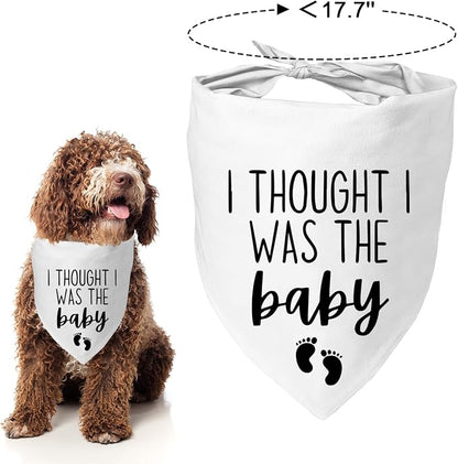 Dog Pregnancy Announcement Bandana - Image 4