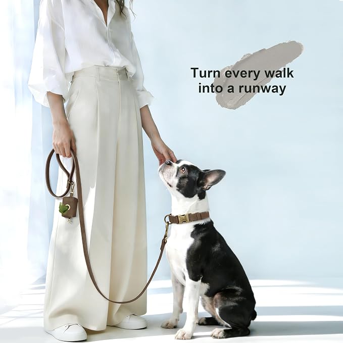 Didog Soft PU Leather Dog Collar, Stylish Quick Released Dog Collars - Image 4