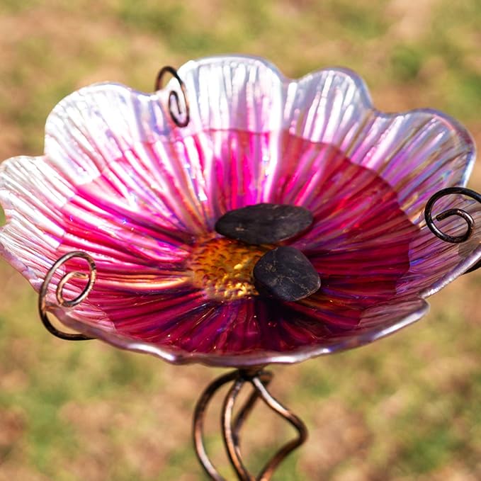MUMTOP 31 Inch Height Glass Birdbath Birdfeeder - Image 5