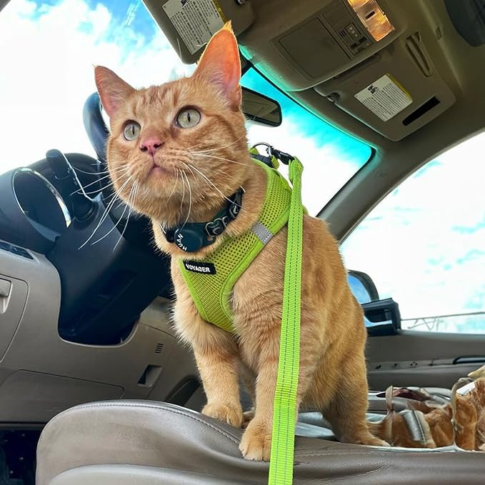 Best Pet Supplies Voyager Step-in Air Harness - Image 8