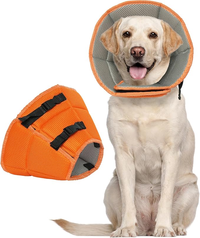 Dog Cone for Large Dogs After Surgery, Adjustable Soft Recovery Cone Collar for by LETSQK
