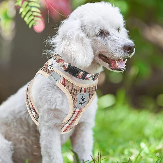 PUPTECK Adjustable Dog Harness Collar and Leash Set Step in No Pull Pet Harness - Image 7