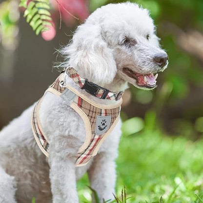 PUPTECK Adjustable Dog Harness Collar and Leash Set Step in No Pull Pet Harness - Image 7