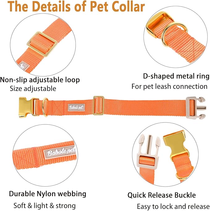 Nylon Dog Collar - Image 4