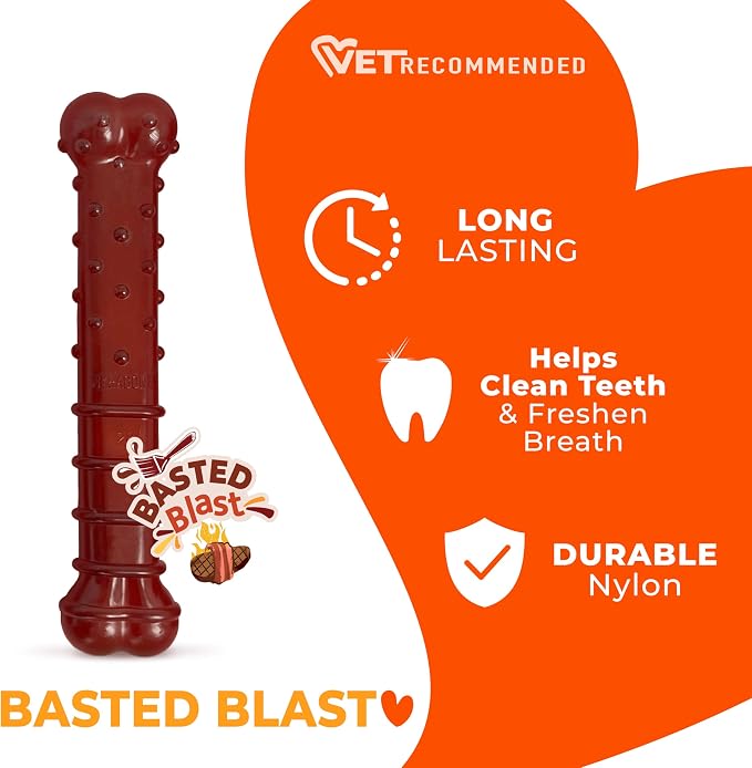 Nylabone Textured Bone Power Chew Toy - Image 4